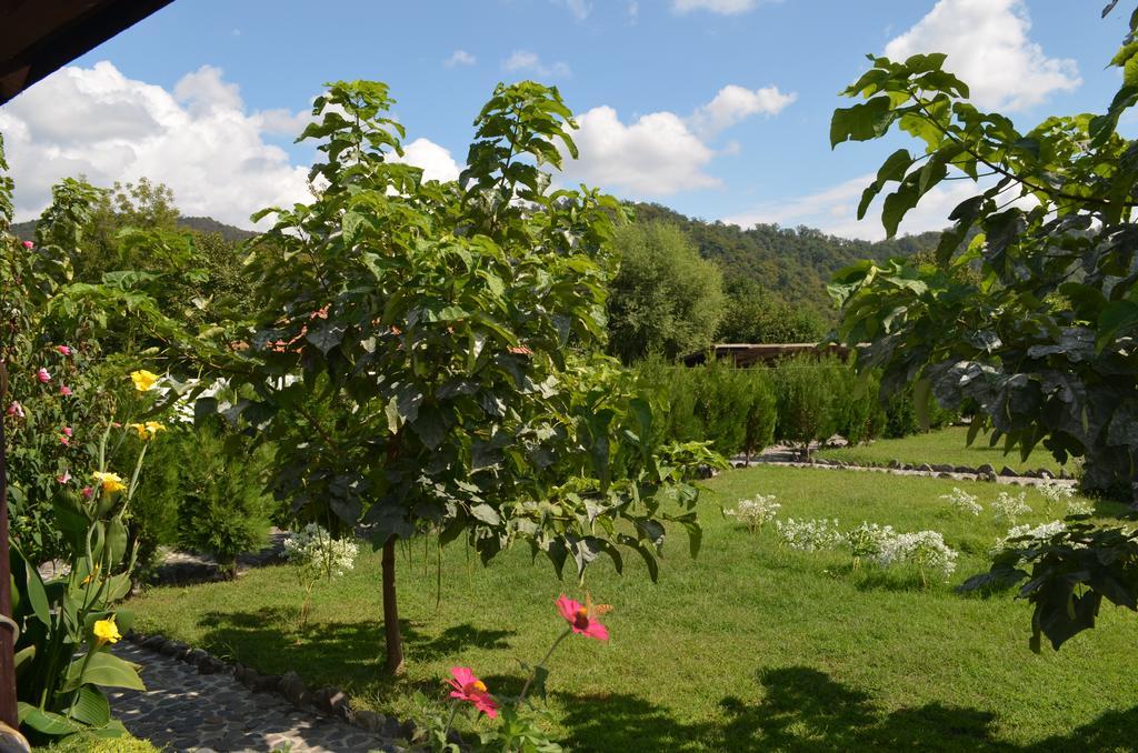 Chateau Bruale Tkhilistskaro Esterno foto