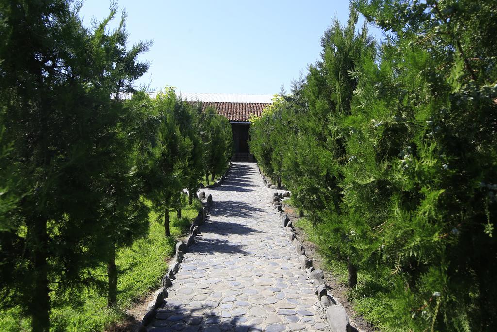 Chateau Bruale Tkhilistskaro Esterno foto